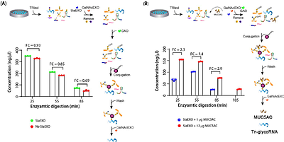 O-Glycosylated RNA Identification and Site-specific Prediction by Solid-phase Chemoenzymatic TnORNA method and PONglyRNA tool