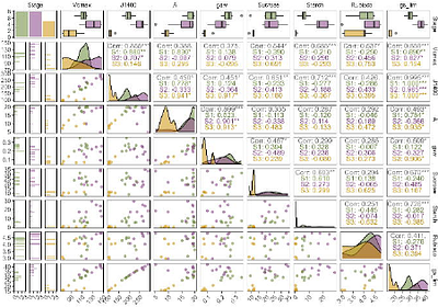 Mature Citrus Leaves Undergo Coordinated Photosynthetic Downregulation to Support Flush-Driven Carbon and Nitrogen Sink Demand