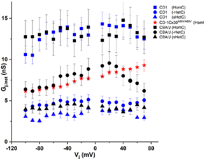 Connexin 30 mutation rescues high-frequency hearing, reduces gap junctional coupling and alters potassium currents in cochlear Deiters cells