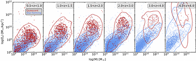 DAWN JWST Archive: Morphology from profile fitting of over 340,000
  galaxies in major fields