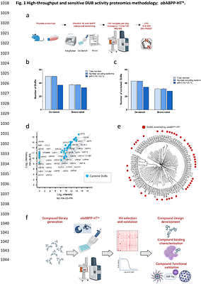 obABPP-HT*: A Precision-Engineered Activity Proteomics Pipeline for the Streamlined Discovery of Deubiquitinase Inhibitors