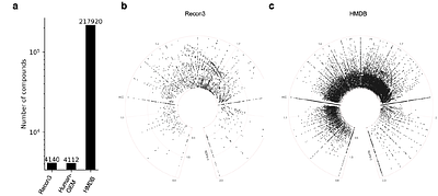 Circular van Krevelen diagram for visualizing metabolic pathways