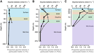 Marine community metabolomes in the eastern tropical North Pacific Oxygen Deficient Zone reveal glycine betaine as a metabolic link between Prochlorococcus and SAR11