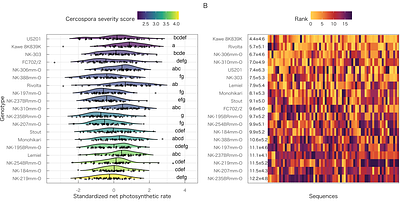 Genetic variation in early-season leaf photosynthesis in sugar beet and its relationship with Cercospora leaf spot resistance