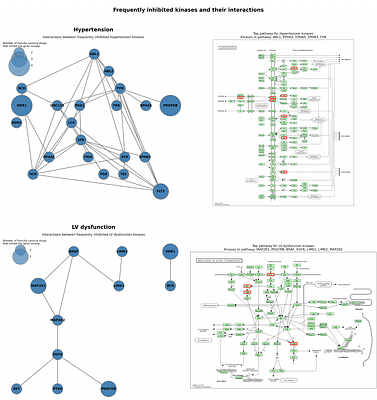 Kinome profiling allows examination and prediction of kinase inhibitor cardiotoxicity