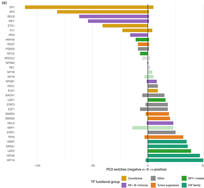Oxygen-sensing regulatory architecture structures mammalian diversification