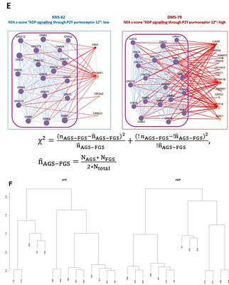 Textural features for pathway-level representation of omics data in biological networks