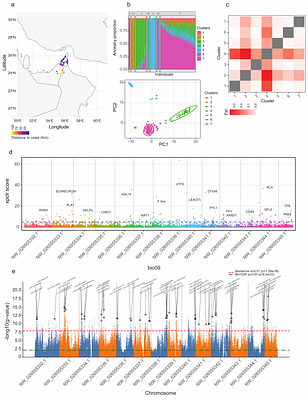 Reversible chromatin remodeling enables Prosopis cineraria survival under recurrent heat extremes.