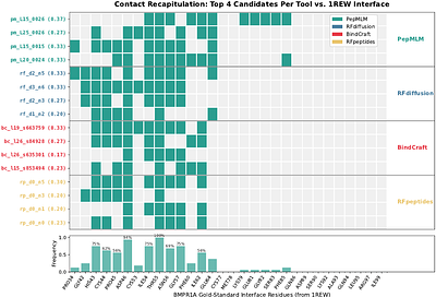 AI-guided design of candidate BMPR1A-binding peptides for cartilage regeneration: a multi-tool computational benchmarking study
