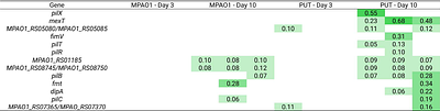 Long-term exposure to polyamines leads to bacteriophage resistance in Pseudomonas aeruginosa