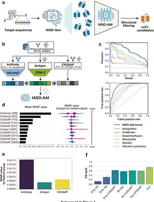 De novo design of therapeutic scFvs and multi-specific engagers from sequence alone