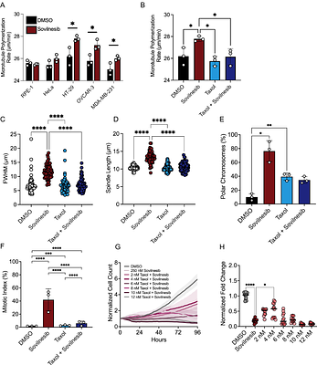 KIF18A Maintains Kinetochore-Microtubule Attachments in CIN Cells by Limiting Microtubule Polymerization