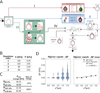 Non-destructive assessment of multi-material micro-tissue mechanics reveals the critical role of rigidity gradients in tumour growth and pressure