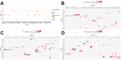 The Effects of Hypertension on Signaling Dynamics in Rare Renal Cell Types