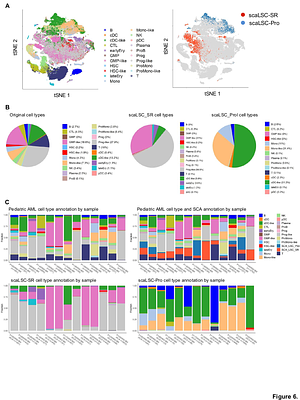 Single cell Correlation Analysis (SCA): Identifying self-renewing subpopulation of human acute myeloid leukemia stem cells using single cell RNA sequencing analysis