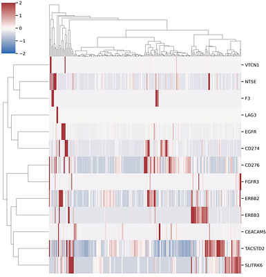 Defining biologically directed therapy target signatures in urothelial carcinoma: A transcriptomic framework for precision therapy