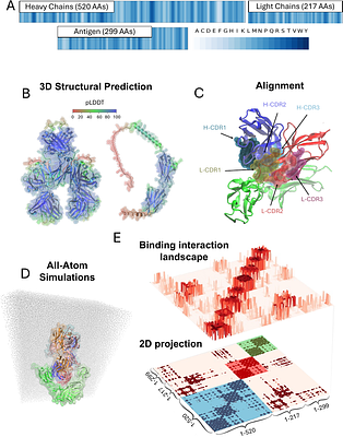Computational mapping of antibody-receptor energy landscapes to predict membrane internalization