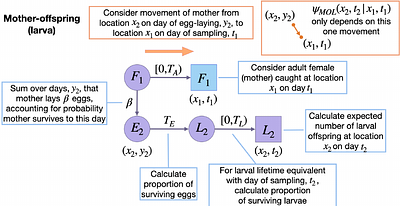 Spatial close-kin mark-recapture methods to estimate dispersal parameters and barrier strength for mosquitoes