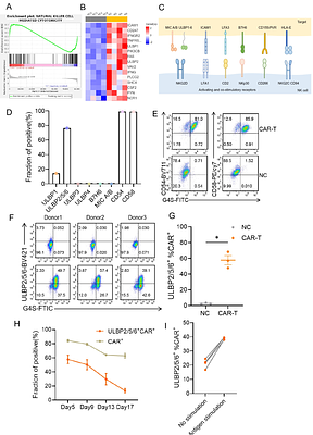Impairing NK-mediated immune rejection through NKG2DL editing to improve CAR-T cell persistence