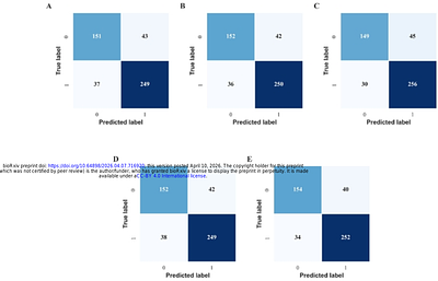 Structure-Based and Stability-Validated Prioritization of BACE1 Inhibitors Integrating Meta-Ensemble QSAR and Molecular Dynamics