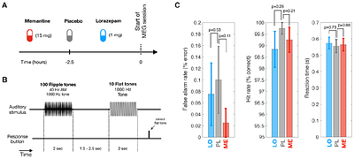 40 Hz Steady-State Responses in Human Auditory Cortex Depend on GABAergic Neuronal Inhibition