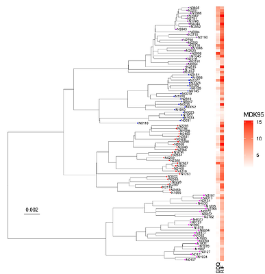 Variability in intrinsic drug tolerance in Mycobacterium tuberculosis corresponds with phylogenetic lineage