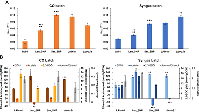 Genetic engineering of carbon monoxide dehydrogenases produces distinct autotrophic phenotypes in Clostridium autoethanogenum