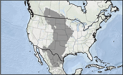 Annual Cultivated Extent and Agricultural Land Use Expansion across the Central Grasslands of North America, 1996-2021