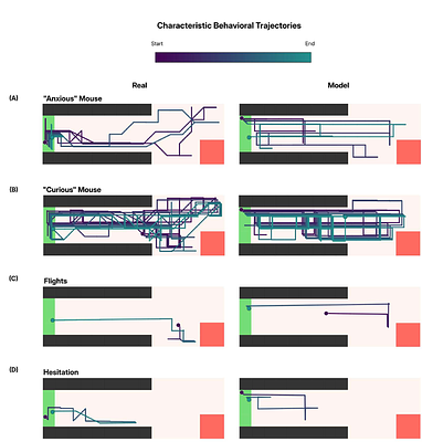 Fleeing is Believing: Adaptive behavior under social threat as an inference process