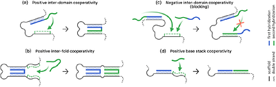 Complex cooperativity in DNA origami revealed via design dependent defectivity
