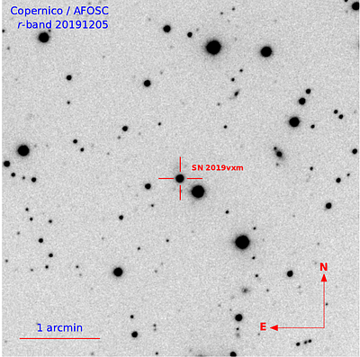SN 2019vxm: A luminous and long-lived Type IIn supernova with early flash-ionisation features