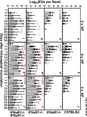 Regulation of Chlamydia trachomatis infection in the female genital tract by type I and type II interferons