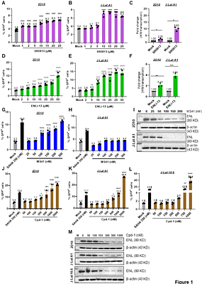 The ENL-USP7 Complex Regulates HIV Latency Through BRD4 Stabilization