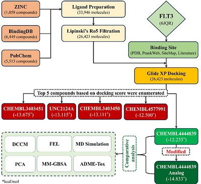 Rational design and comparative docking and simulation of modified FLT3 inhibitors: A study on enhanced binding stability and inhibition potency