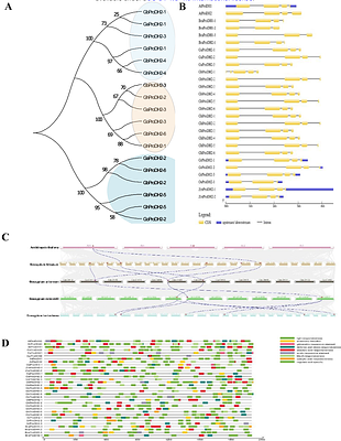 Silencing Proline Dehydrogenases Improves Salt and Drought Tolerance in Gossypium hirsutum