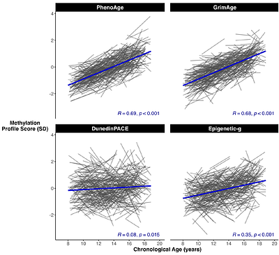 Stability of DNA-Methylation Profiles of Biological Aging in Children and Adolescents