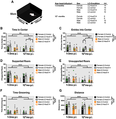 Sex- and age-dependent effects of locus coeruleus-originated tau dysfunction on olfaction and neurophysiology in rats