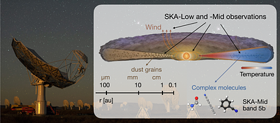 Cradle of Life: From the Formation of Stars to Habitable Worlds with the SKAO