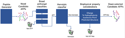 Fung-AI: An AI/ML-driven pipeline for antifungal peptide discovery