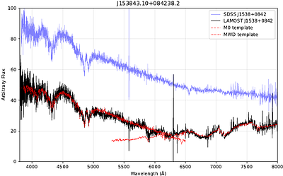 Searching for Magnetic White Dwarfs in LAMOST DR10