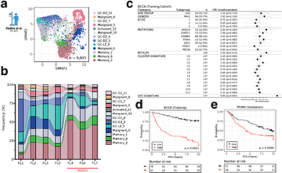 Relapse-founding cancer persister cells in follicular lymphoma