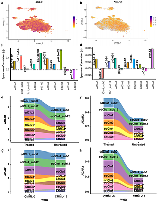Single-cell RNA editing defines clinically relevant cellular states in chronic myelomonocytic leukemia