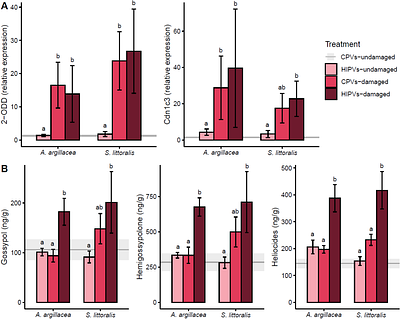Exposure to herbivore-induced plant volatiles directly induces jasmonic acid and primes chemical defences in cotton plants