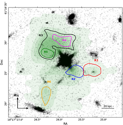 Coevolution of halo and quasar properties in dense environments: CARLA
  J1017+6116 at z=2.8