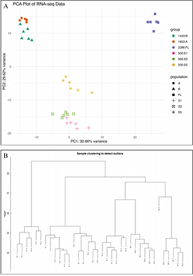 Investigating the mechanism of resistance to indaziflam in Poa annua