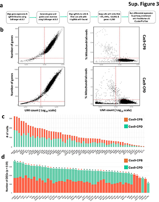 Mapping Functional Tumor Suppressor Networks in Esophageal Adenocarcinoma Using In Vivo CRISPR Screening and Perturb-sequencing