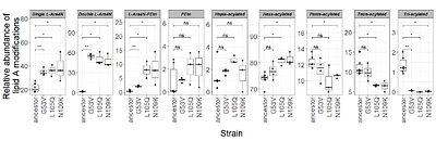A preclinical resistance framework discovers the virulence risks of antibiotics in development