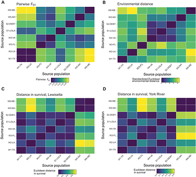 Contrasting effects of geographic distance, environmental distance, and intraspecific diversity on the performance of a marine invertebrate in common gardens