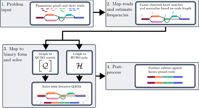 Nonvariational quantum optimisation approaches to pangenome-guided sequence assembly