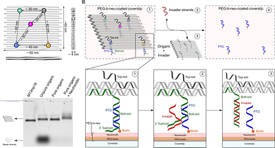Nanoscale precise stamping of biomolecule patterns using DNA origami